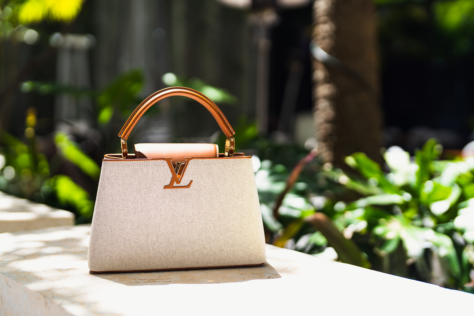 Louis Vuitton Capucines Bag
